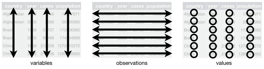 Figura 1: Datos tidy. Imagen de Hadley Wickham (https://r4ds.had.co.nz/tidy-data.html)